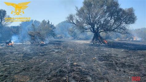 Violento incendio a San Teodoro, danni ingenti: cosa è successo